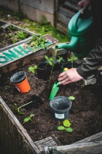 Raised Garden Beds vs. In-Ground Gardening: Pros, Cons, and How to Decide